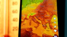 În timp ce producția agricolă scade în țările din vestul Europei, România are un avantaj major