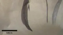 Ce sunt dungile ciudate observate pe Marte încă din anii 1970?