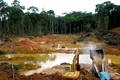 Copii folosiți ca „scuturi umane” în pădurea amazoniană din Peru