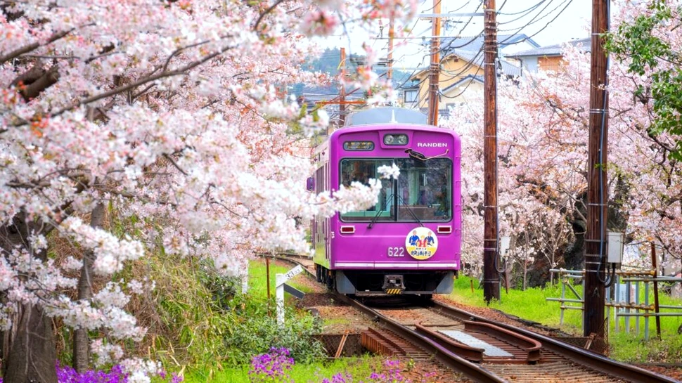 Taxă uriașă de hotel pentru turiștii care ajung în unul dintre cele mai prietenoase orașe din lume
