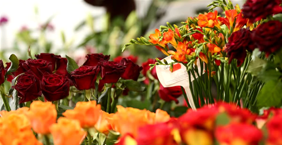 Cele zece flori de grădină care vă pot ajuta să vă vindeţi casa