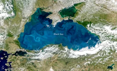 De ce, în anotimpurile călduroase, Marea Neagră devine turcoaz?
