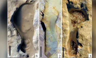 Cele mai vechi urme de neanderthalieni găsite vreodată în Europa