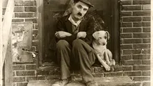 15 artiști faimoși cu legături surprinzătoare cu comunismul. De la Chaplin la Picasso