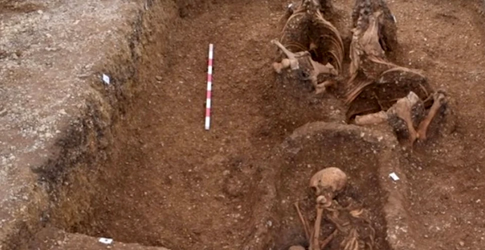 O trăsură cu cai ce ”încerca să iasă din mormânt”, descoperită de arheologi