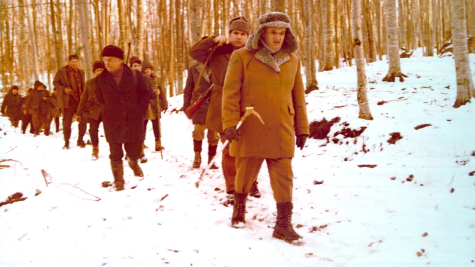 De ce a vrut Ceaușescu să încrucișeze urșii din Alaska cu cei din Munții Carpați?