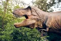 Care este ruda lui T. Rex care mai trăiește și astăzi? S-a ascuns la vedere timp de foarte mulți ani!