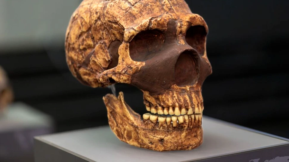 Acesta ar putea fi cel mai vechi obicei uman