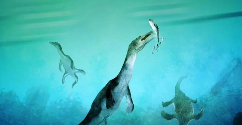 O fosilă de reptilă marină polară este cea mai veche găsită vreodată în emisfera sudică