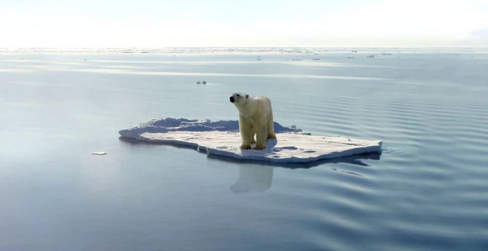Cercetătorii atrag atenţia: Oceanul Arctic nu va mai avea gheaţă în luna septembrie dacă temperatura medie creşte cu 2 grade Celsius