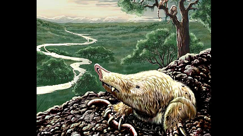 Animalul ciudat care a rezistat evenimentului catastofic ce a provocat extincţia dinozaurilor