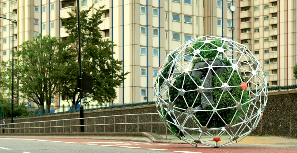 Soluţia revoluţionară de a răspândi verdeaţa în marile oraşe. FOTO+VIDEO