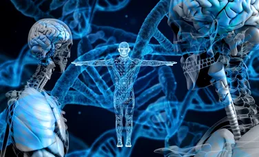 ADN rar cu helix cvadruplu, găsit în celulele umane vii