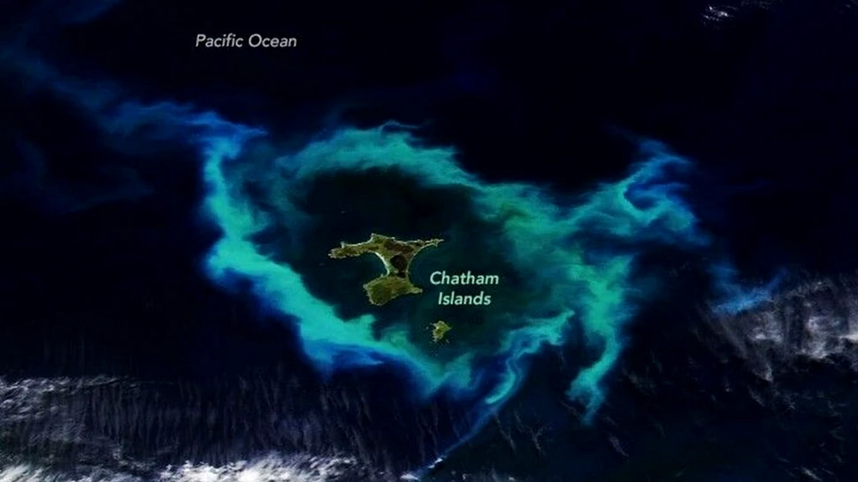 Un inel uriaș de plancton care înconjoară mai multe insule din Oceanul Pacific, observat din satelit