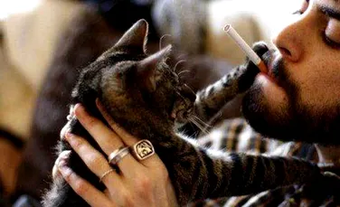 Cum afectează fumatul animalele de companie. Cercetătorii pledează pentru renunţarea la acest viciu