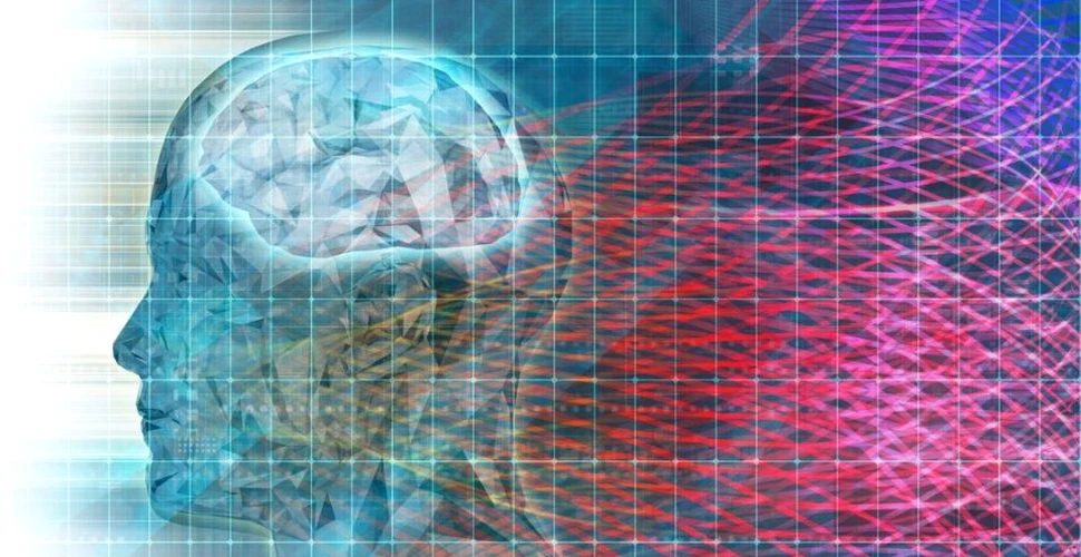 Computerele convenţionale nu vor fi conştiente, explică un neurocercetător