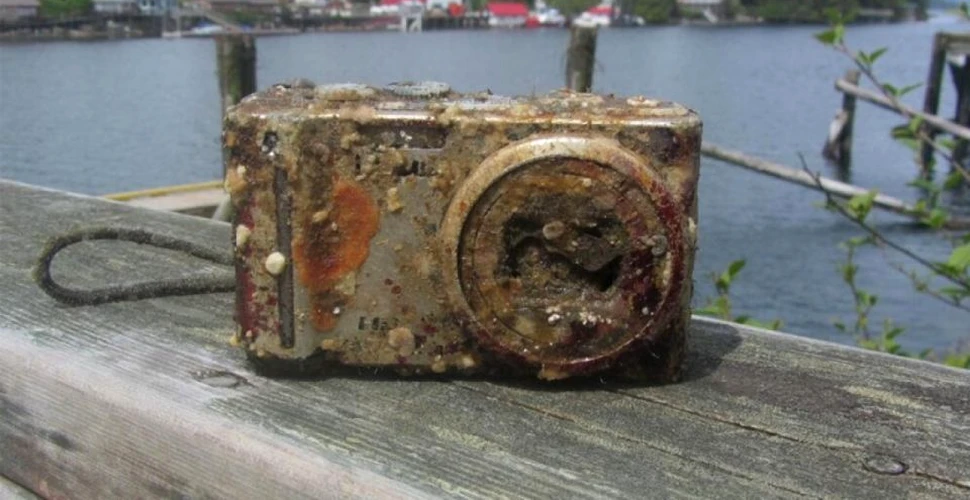 SURPRIZA pe care a avut-o un canadian după ce a aflat că aparatul său foto a putut fi recuperat dintr-un naufragiu – FOTO