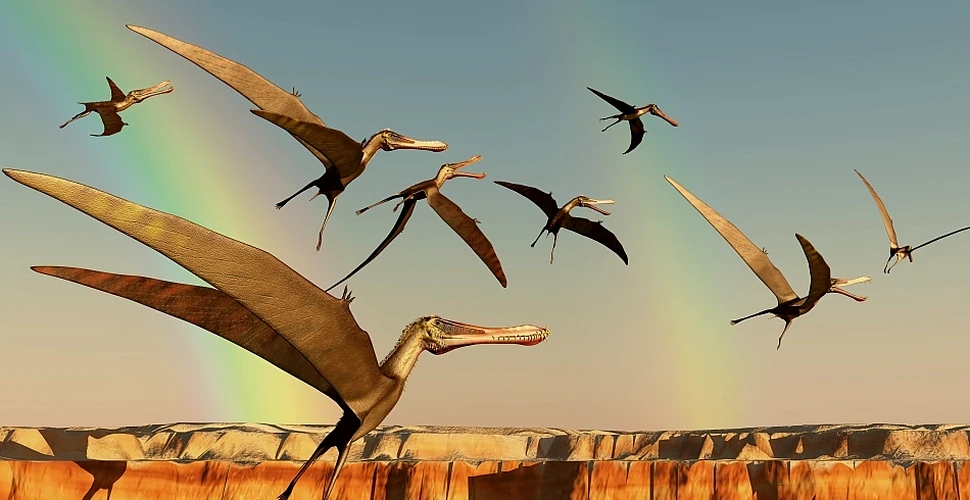 Zeci de specii de reptile zburătoare brăzdau cerul Europei în urmă cu 100 de milioane de ani