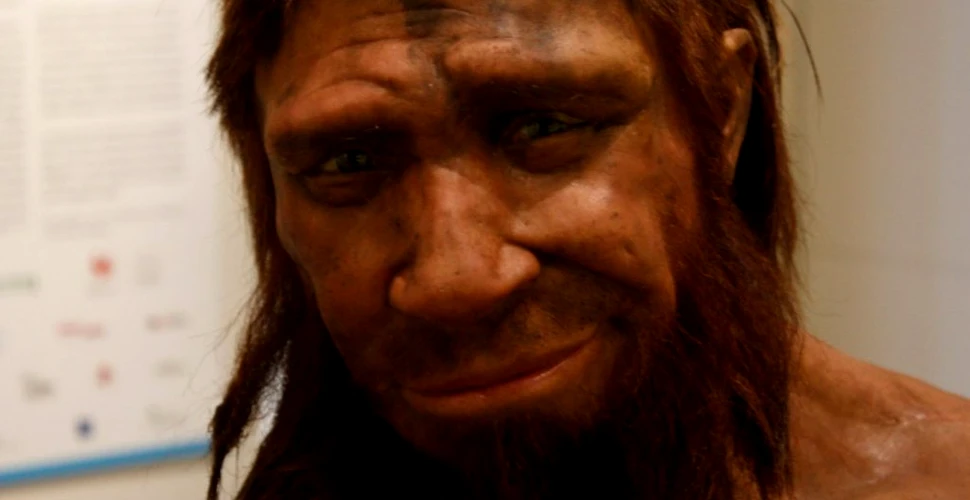 Oamenii de Neanderthal se bucurau de băi calde în peşterile în care trăiau