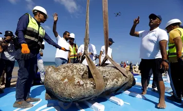 Statui colosale ale faraonilor și sfinxi misterioși, scoși din apele de lângă Alexandria