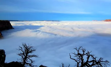 Fenomen rar observat în Marele Canion. Care este explicaţia pentru această „mare de nori”?