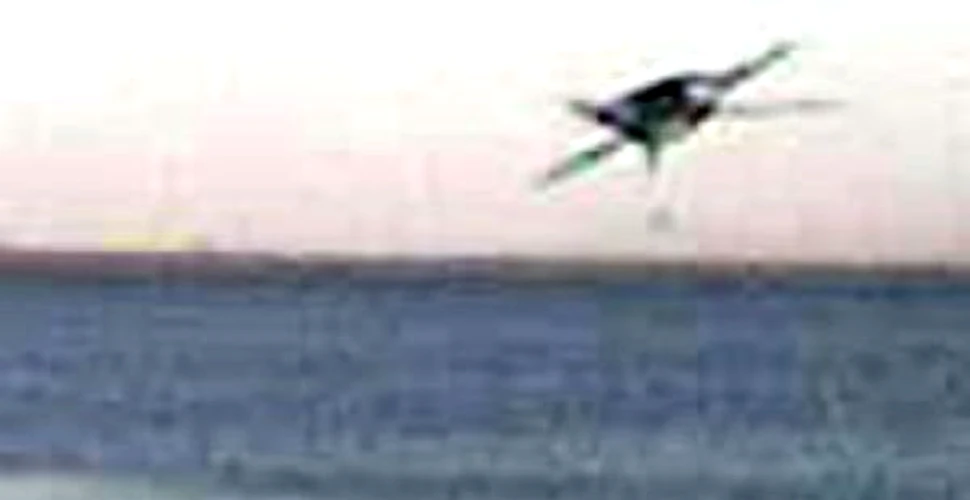 OZN sau pterodactil deasupra unui lac argentinian?