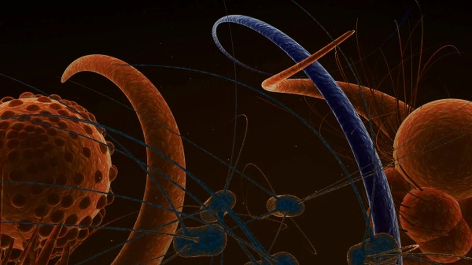 Virus misterios produce panica in Bolivia