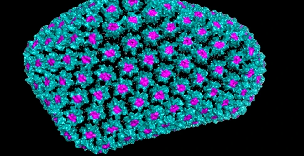PREMIERĂ: A fost descoperită molecula ce ajută la stabilizarea virusului HIV