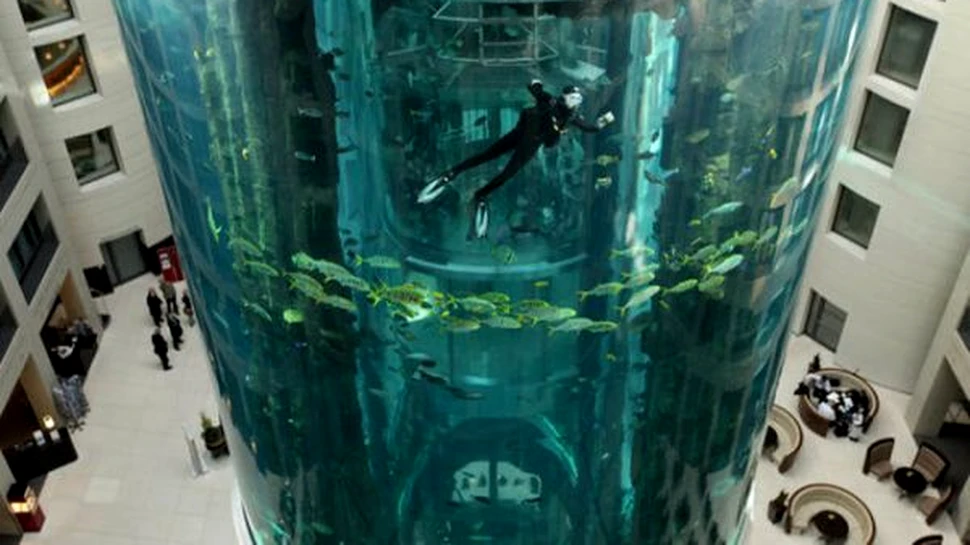 Incredibil: Un lift in interiorul unui acvariu (FOTO)