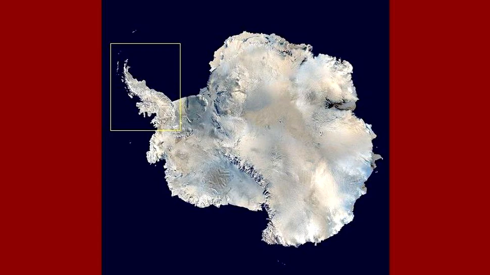 O banchiză din Antarctica s-a micşorat cu 85%