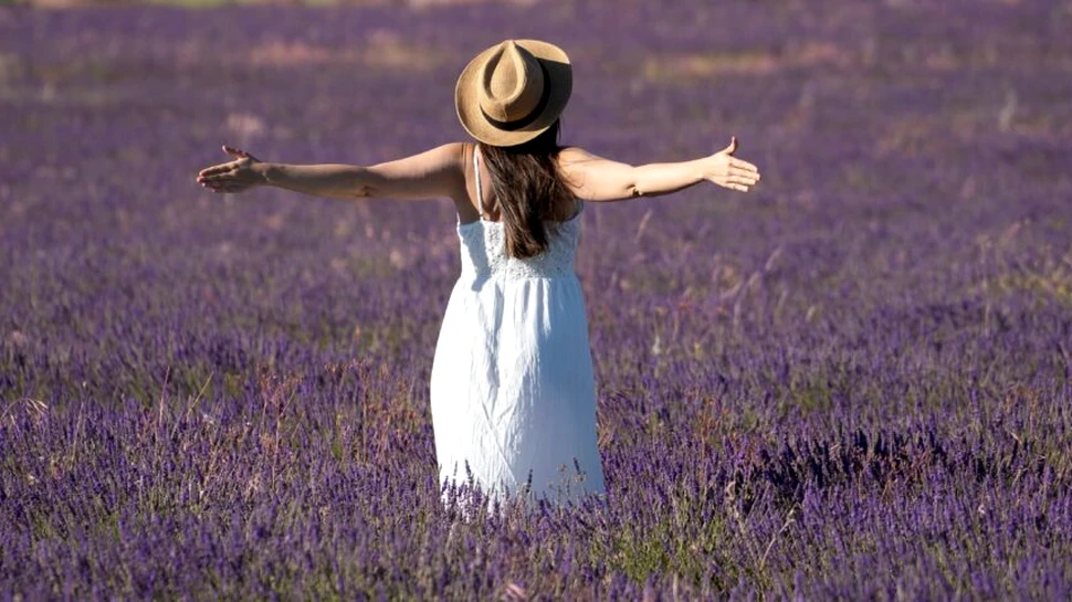 Fericirea de a fi singur: Cum îi convingi pe ceilalți că ești complet așa cum ești