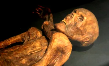 Ötzi Omul Ghețurilor era purtătorul celui mai răspândit virus din zilele noastre