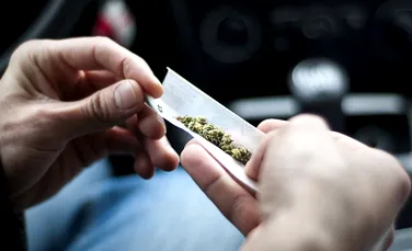 Consumul chiar şi ocazional de marijuana are efecte devastatoare. Ce se întâmplă în creierul celor care iau acest drog