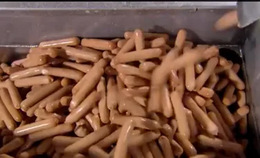 Ce conţine de fapt un hot dog. Imagini care îi vor pune pe gânduri pe consumatorii de fast-food (VIDEO)