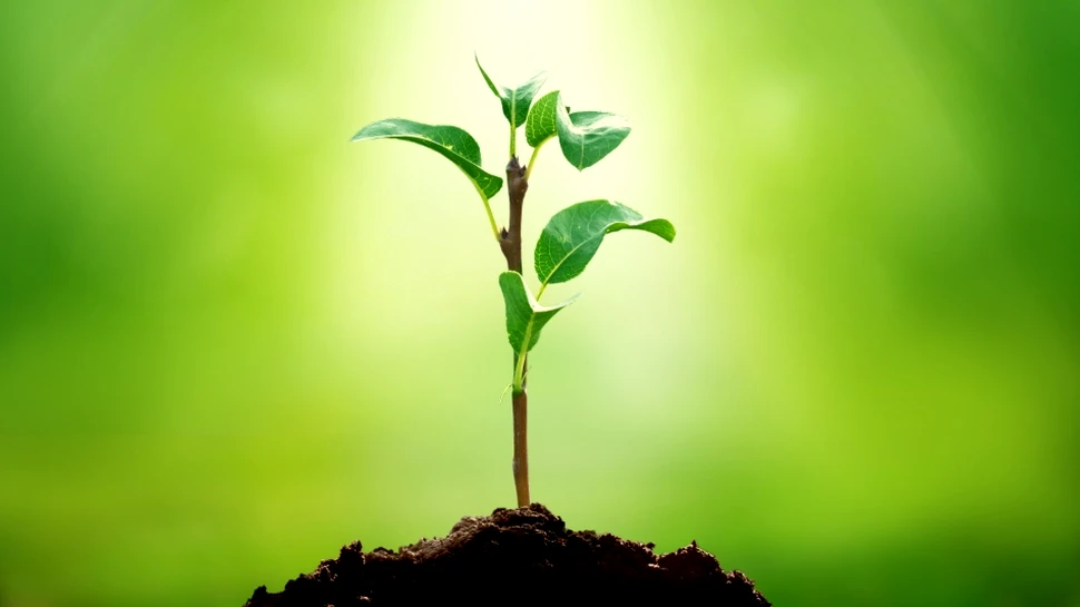 Când a apărut viaţa pe Terra? Cercetătorii au un nou răspuns surprinzător