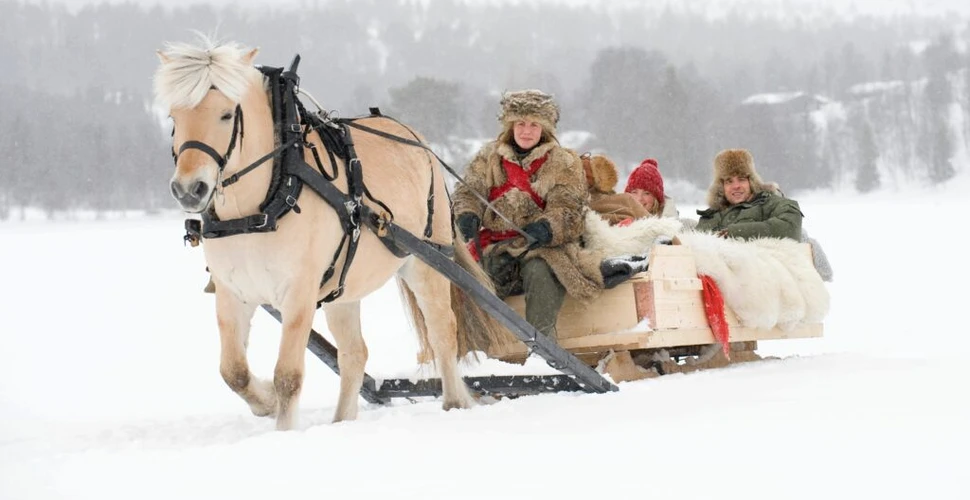 Test de cultură generală. De ce țările scandinave sărbătoresc Crăciunul pe 24 decembrie?