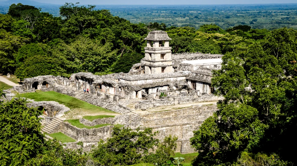 Sute de rămășițe de animale, găsite în depozitele rituale de la ospețele antice ale mayașilor