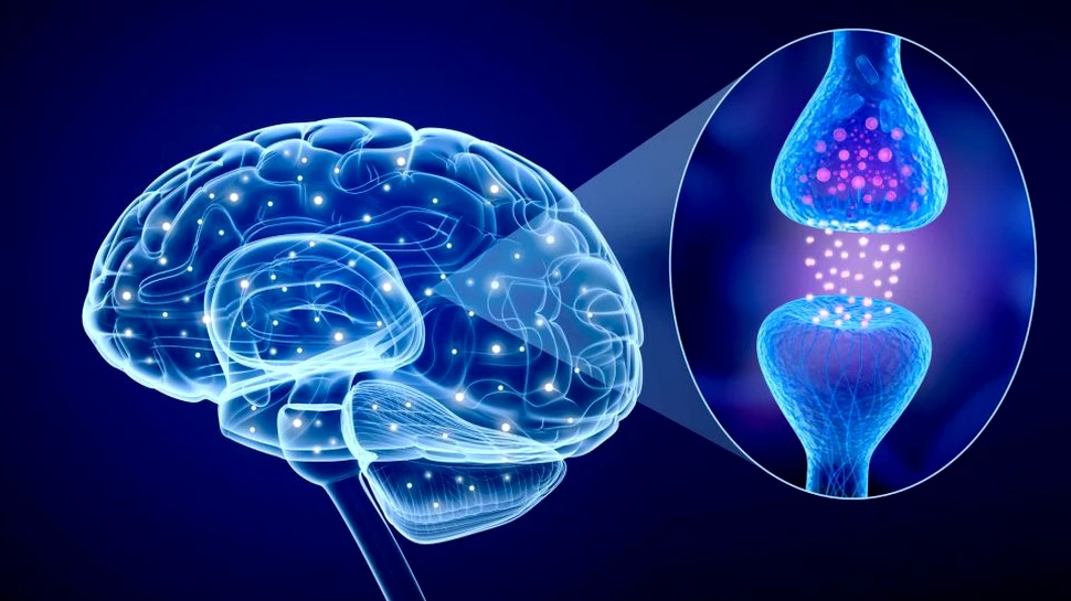 Savanţii sunt cu un pas mai aproape de a face inteligenţa artificială să fie asemenea creierelor noastre