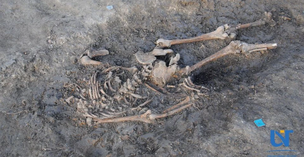 Mormânt comun din vremea ciumei, descoperit la Timişoara