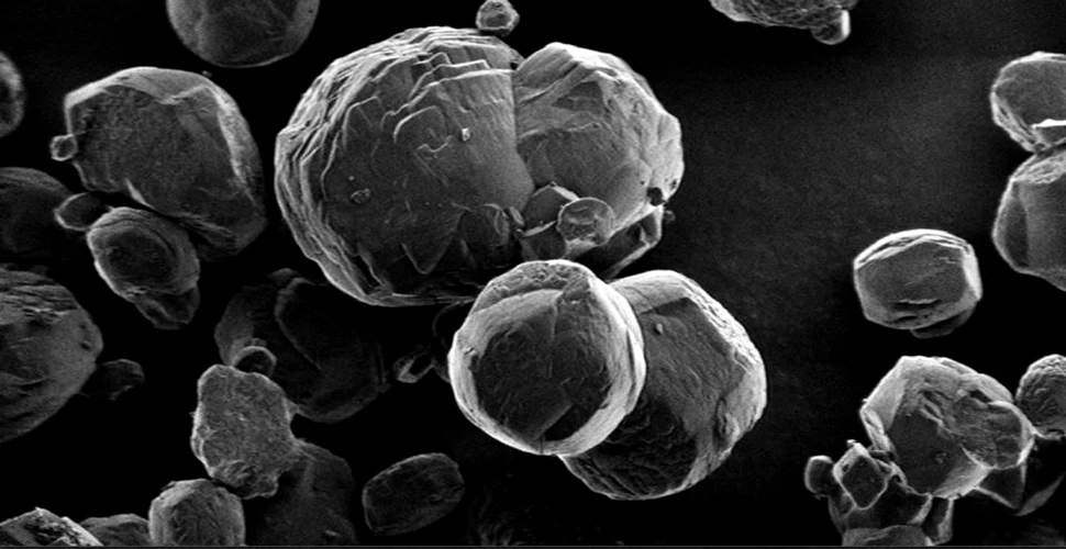 Microbi extremi, descoperiţi la sute de metri sub podeaua Mării Japoniei