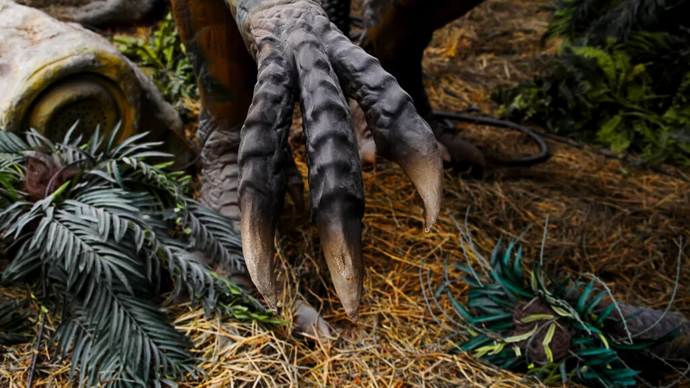 Un studiu arată că unii dinozauri își foloseau ghearele pentru a săpa, iar alții pentru a părea mai amenințători