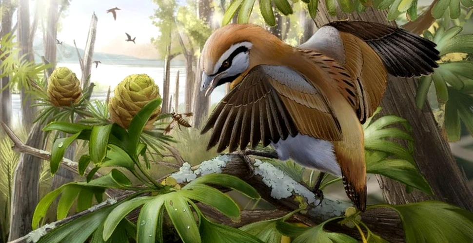 Cercetătorii au găsit fosila unei păsări primordiale care putea să scoată limba