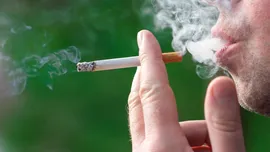 Creierul oamenilor care consumă canabis și tutun are un volum mai mic