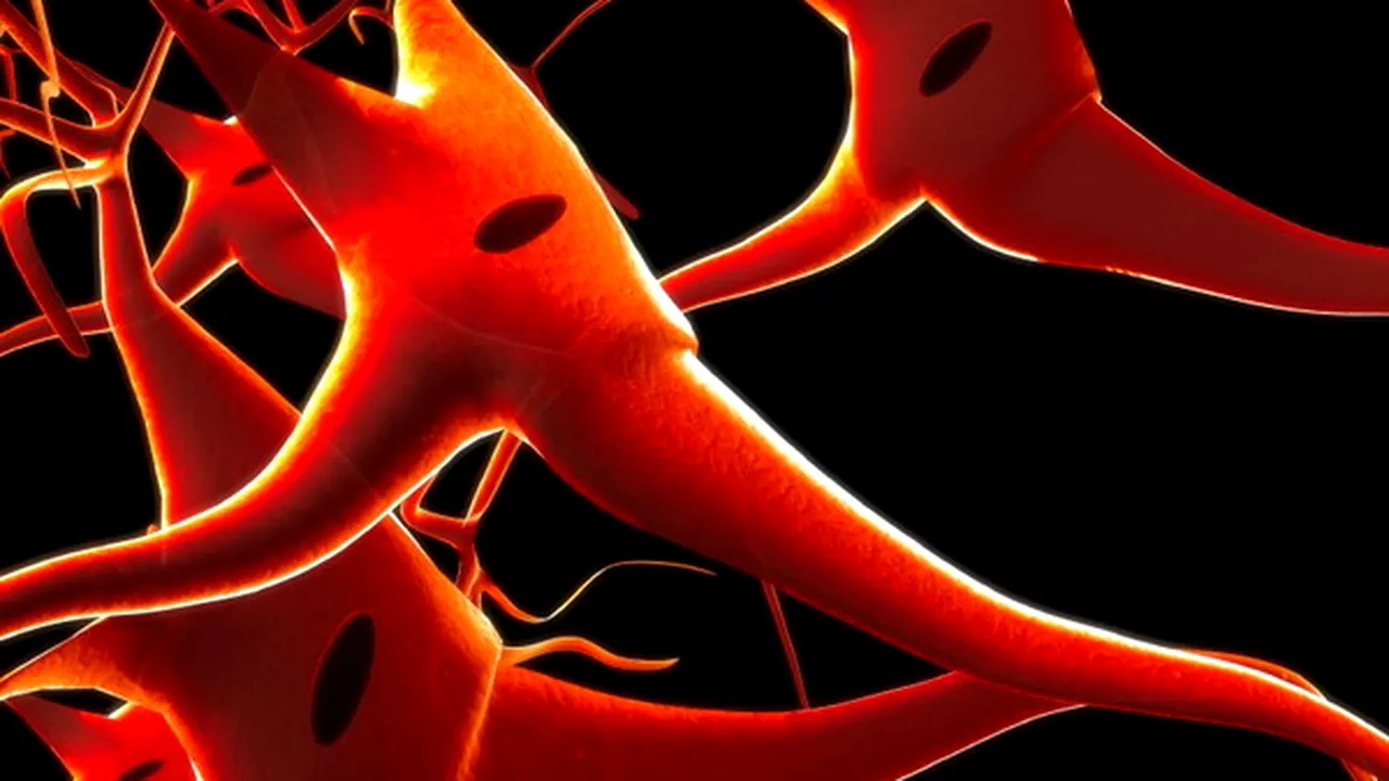 1-neuroni 