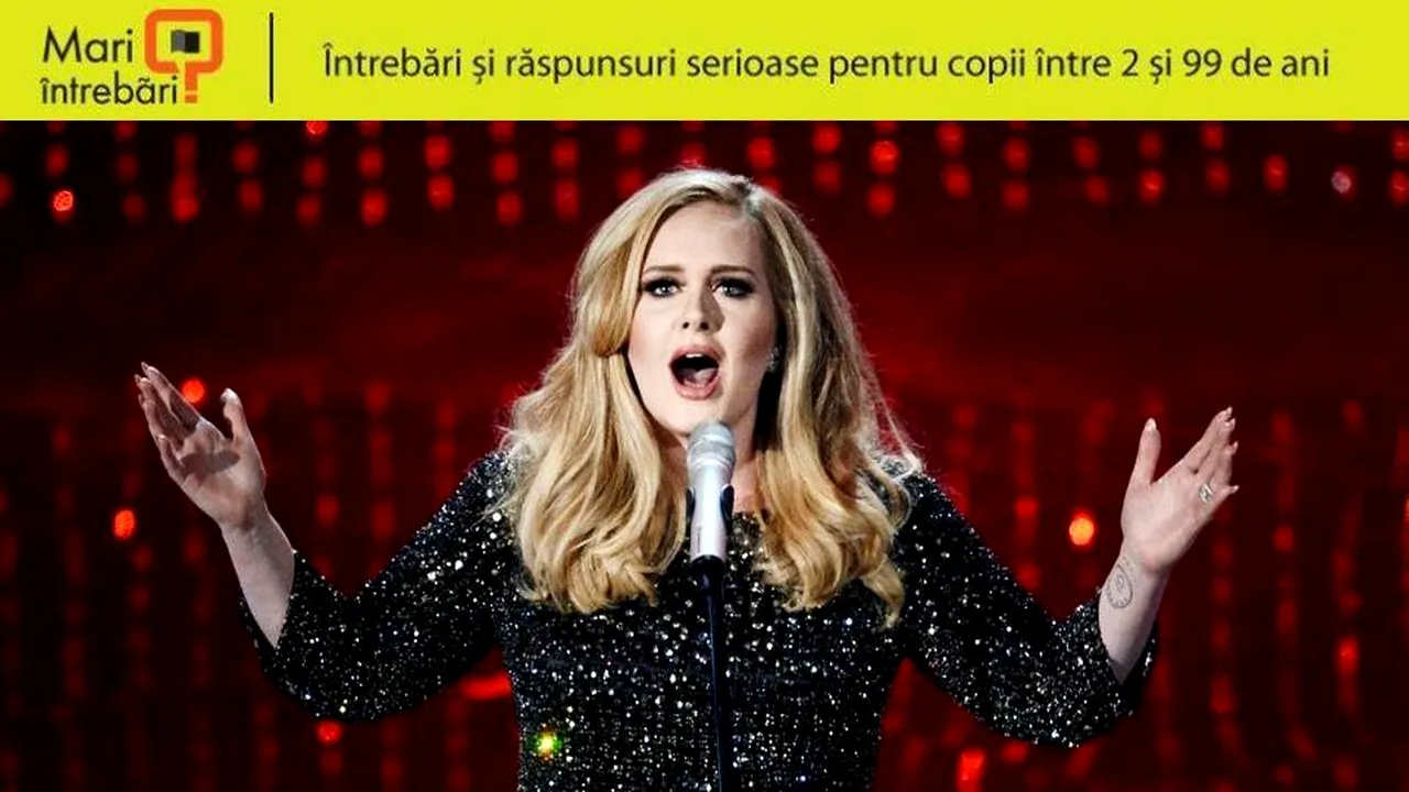 1-adele 