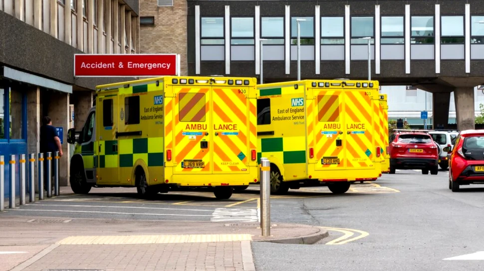 Creșterea cazurilor de scabie în Marea Britanie pune sistemul medical pe gânduri