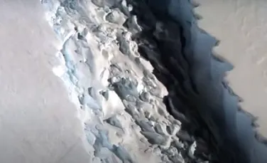 Cocluziile NASA: „Lipiciul” înghețat poate controla ritmul de rupere a raftului de gheață din Antarctica