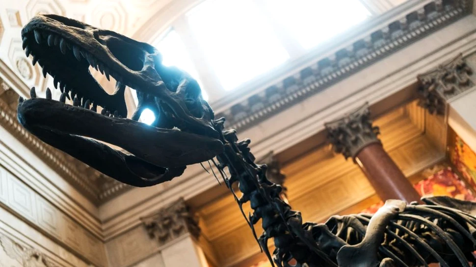 Fosila unuia dintre ultimii megaraptori de pe planetă, descoperită în Argentina