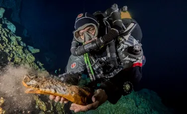 Rămășițele unui leneș gigant și ale altor două noi specii, descoperite în „gaura neagră” din Mexic, o fascinantă peșteră subacvatică