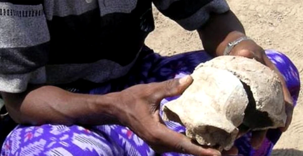 O noua “veriga lipsa” umana a fost descoperita in Africa